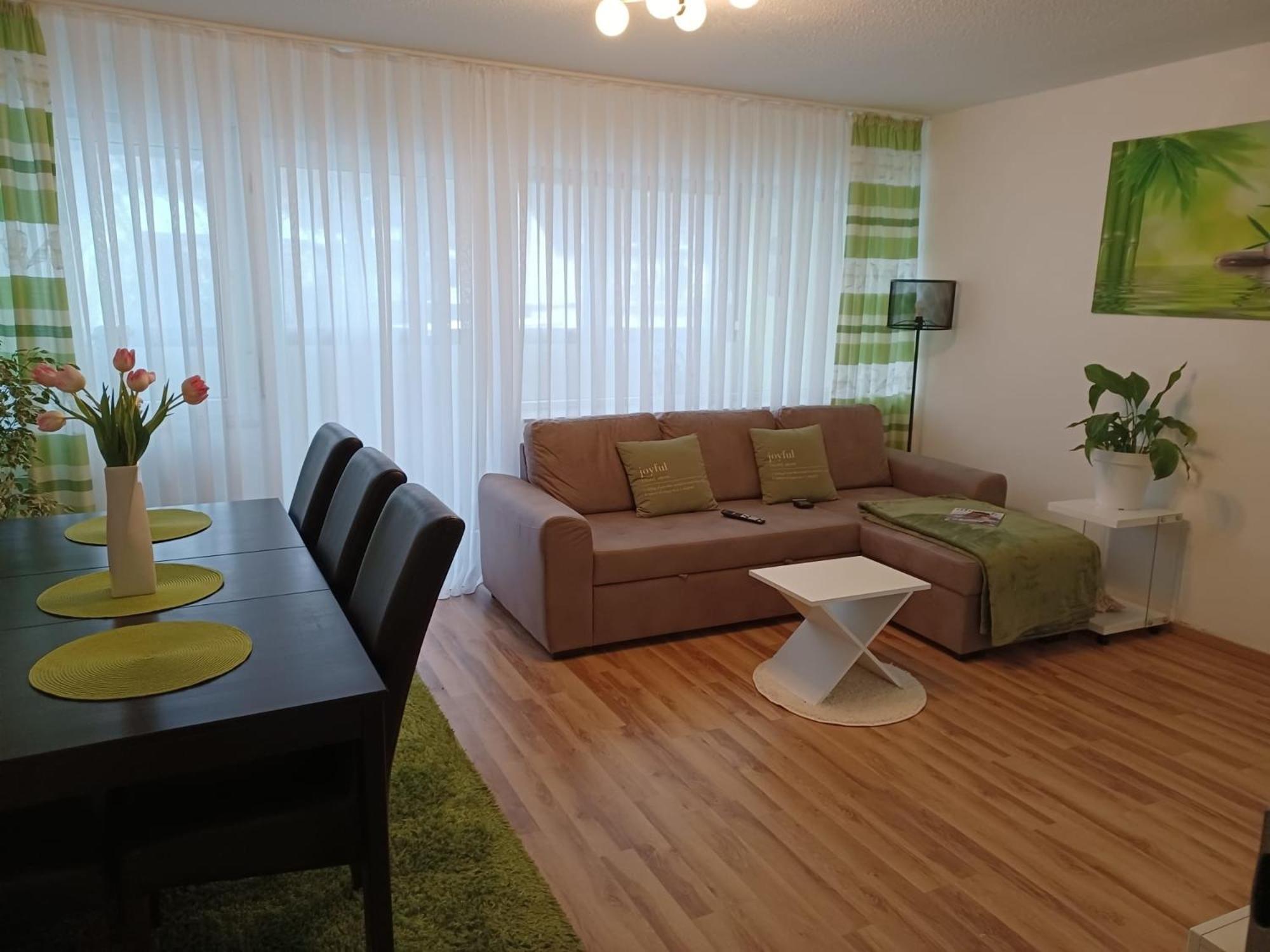 H&A Apartment Baden Baden エクステリア 写真