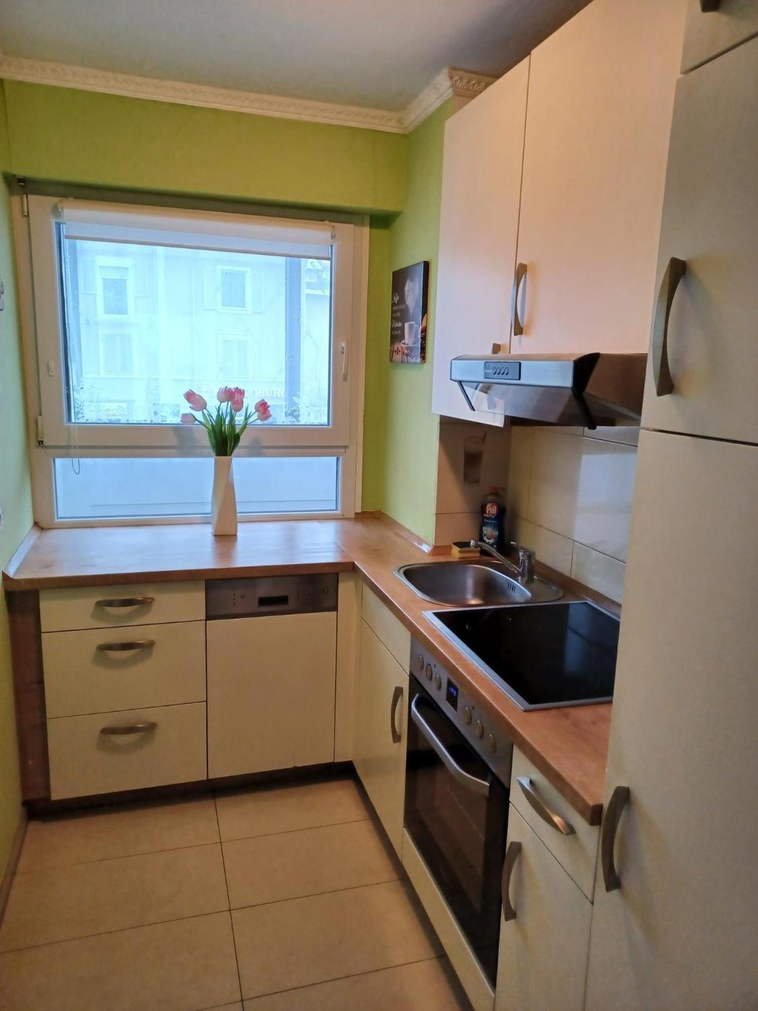 H&A Apartment Baden Baden エクステリア 写真